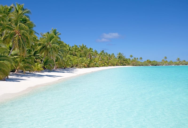 Tropical Paradises